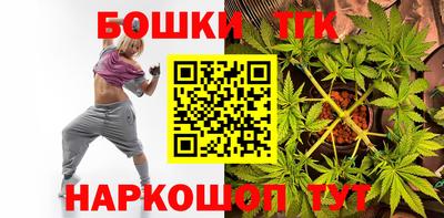 гашик Дубна