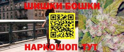 гашик Дубна