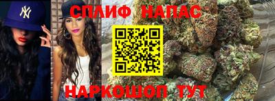 гашик Дубна