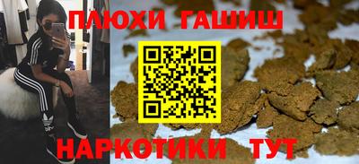 гашик Дубна